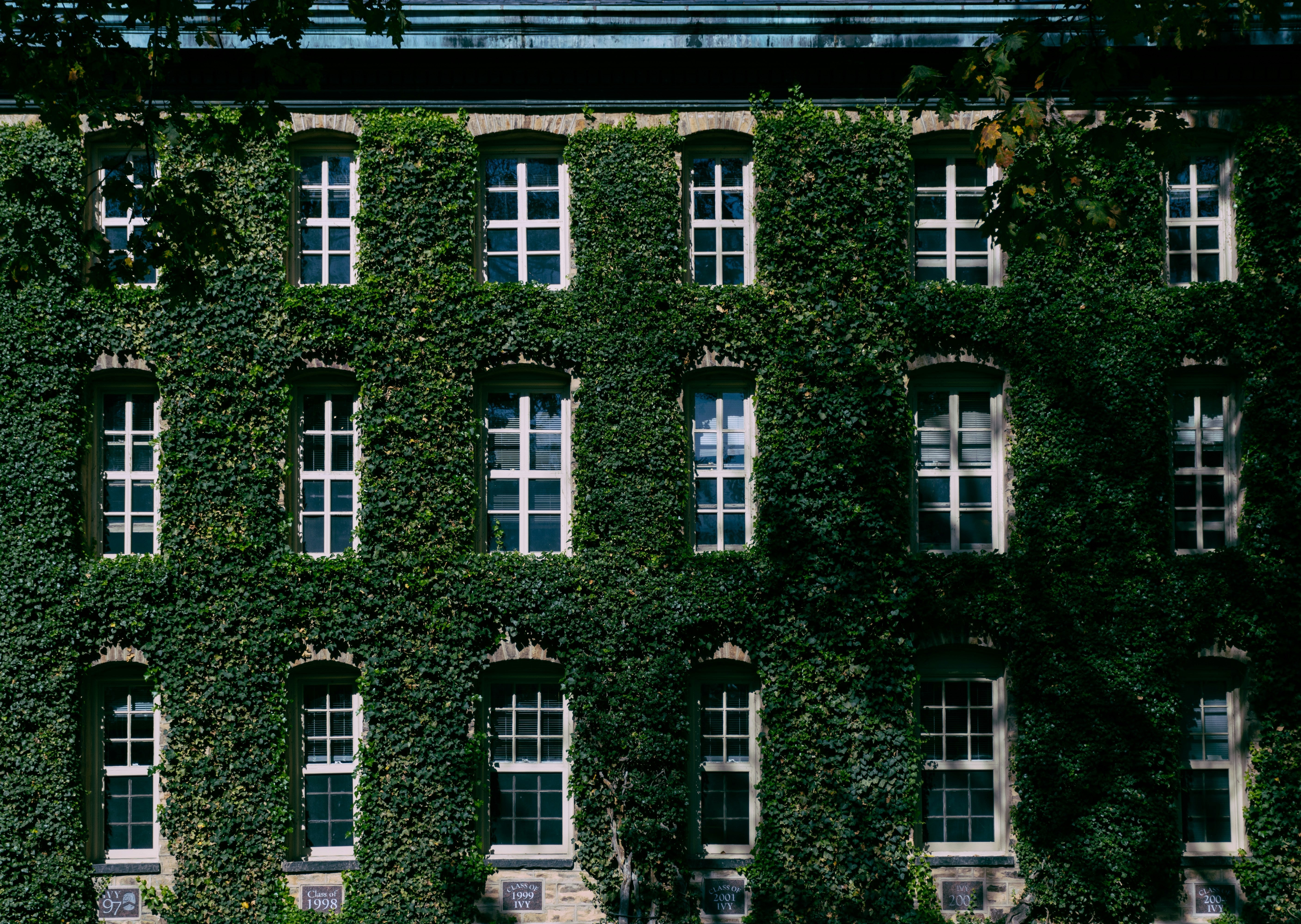 Ivy League